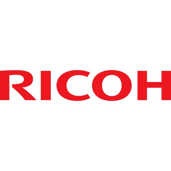Ricoh 406667 fusore type sp c430 - spc430dn / spc431dn 120.000 pagine