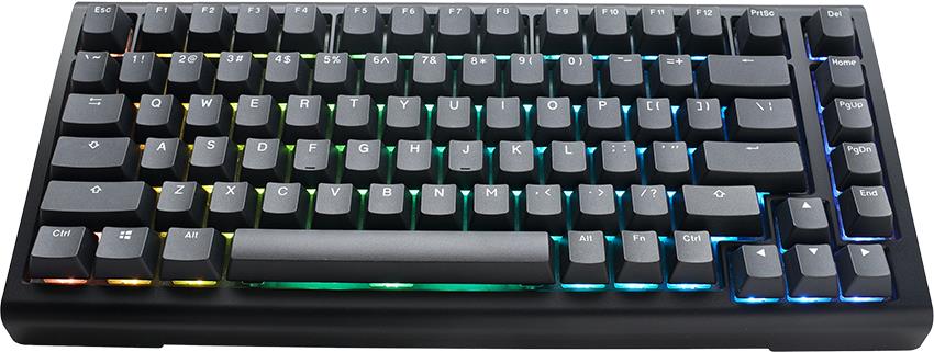 Ducky Tinker 75 Gaming-Tastatur RGB - MX-Blue ANSI - 75% Gaming-Tastatur von Ducky - Hot-Swap-fähig - mit MX-Blue Switches - ANSI-Layout - RGB-Beleuchtung - Gasket-Mounted - Gehäuse aus ABS-Kunststoff - Baseplate aus FR-4 (PKTI2383AST-CCUSPDOECLAAW1)