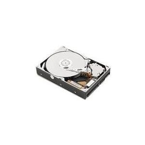IBM Lenovo - Festplatte - 1 TB - Hot-Swap - 2.5" SFF (6.4 cm SFF) - SATA 6Gb/s - nearline - 7200 U/min - für BladeCenter HS22, System x3100 M5, x3250 M4, x3300 M4, x35XX M4, x36XX M3, x3950 X5 (81Y9730)