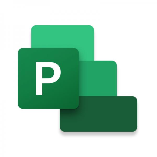 Microsoft Project Standard 2021 Gestione di progetti 1 licenza/e (PROJECTSTNDARD 2021 WIN ENGMEDIALES)
