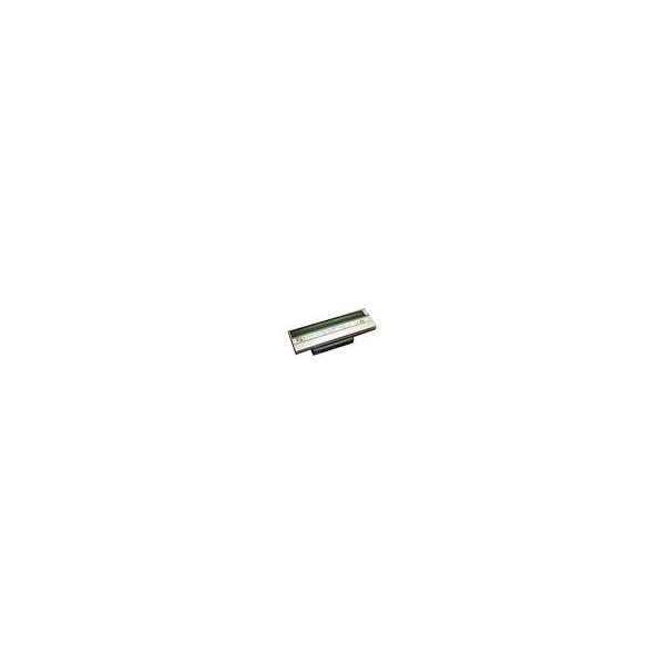 Zebra 203 dpi - testina di stampa - per LP 2844, 2844-Z