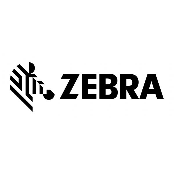 Zebra Kabel seriell - DB-9 (W) bis RJ-45 (10-polig)