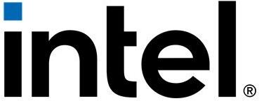 Intel - Speicherkabelkit (CBLMCSL2216KIT)