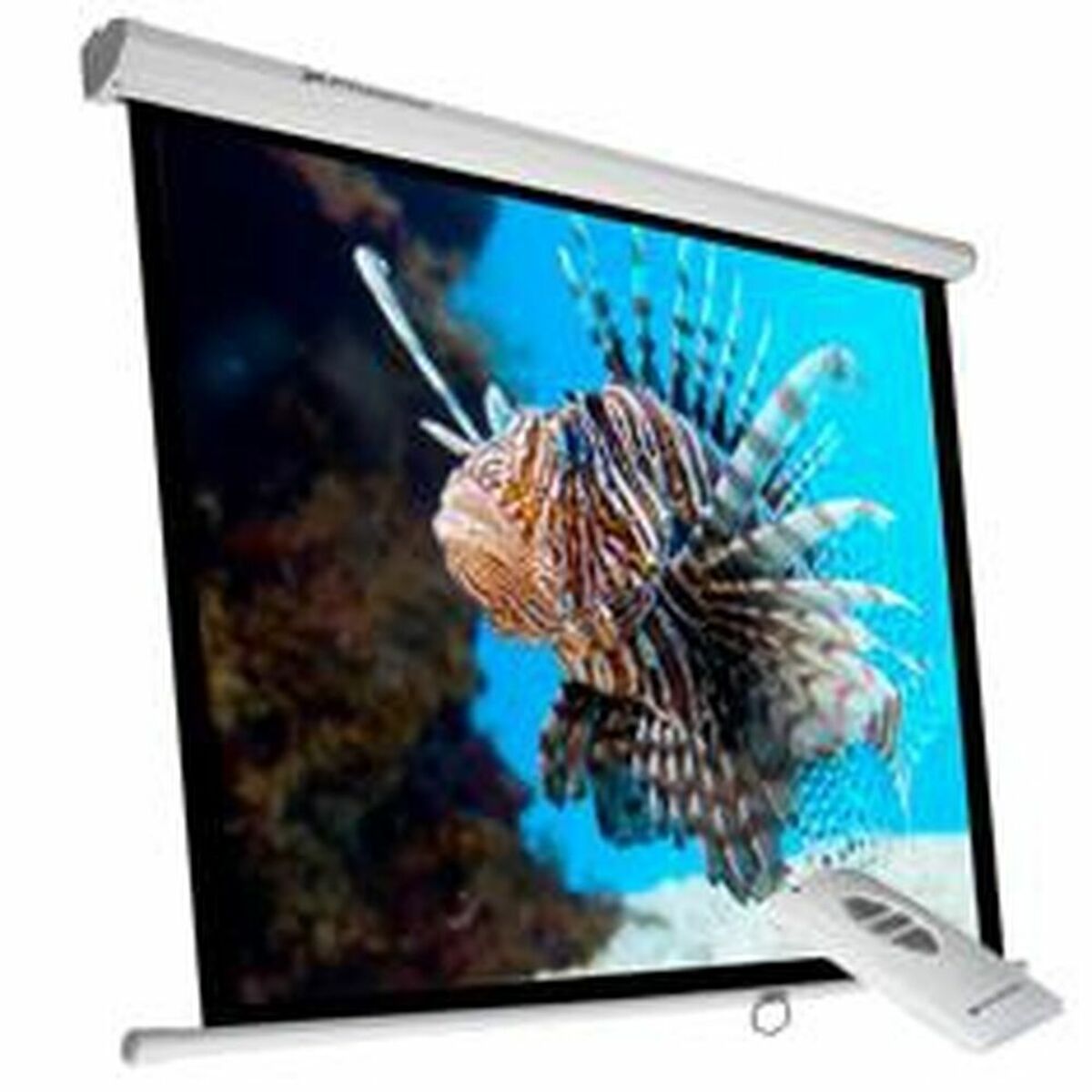 Schermo di Proiezione Phoenix PHPANTALLA-ELEC240