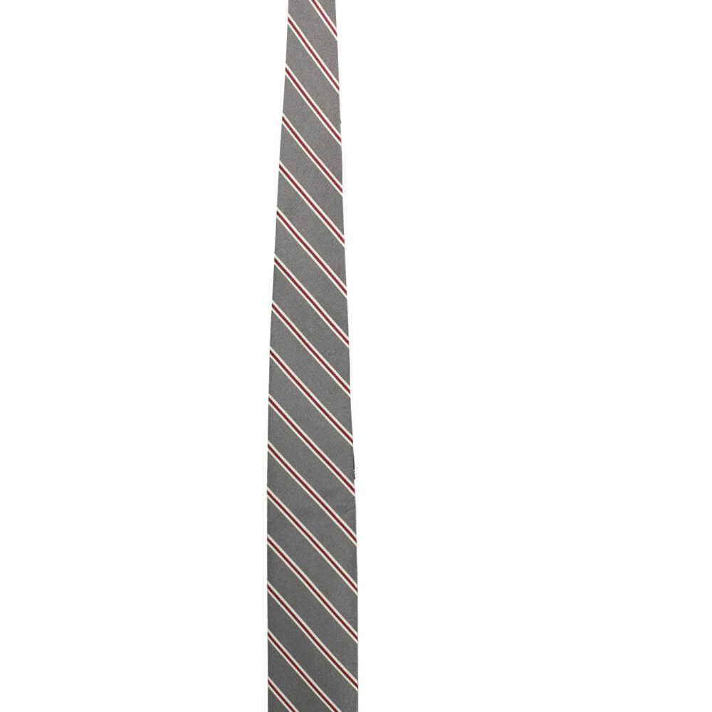 GANT CRAVATTA UOMO GRIGIO
