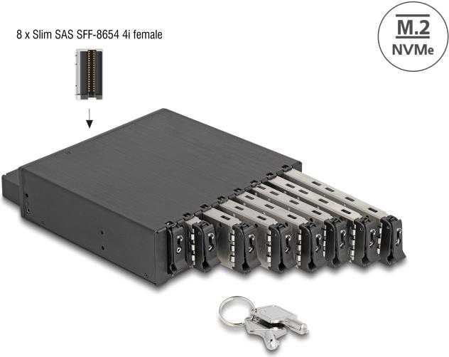 Delock - Mobiles Speicher-Rack - M.2 (47129)